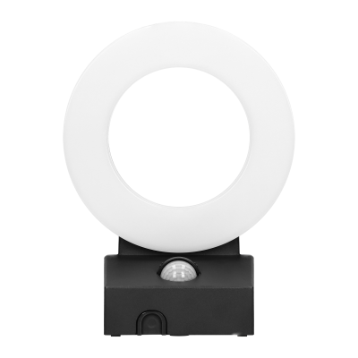 HOWLIT LED 20W, oprawa ogrodowa z czujnikiem ruchu, 1800lm, IP65, 4000K, czarna