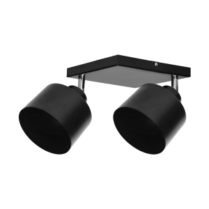 LISA wall and ceiling lamp, max. power 2x60W, E27, black,...